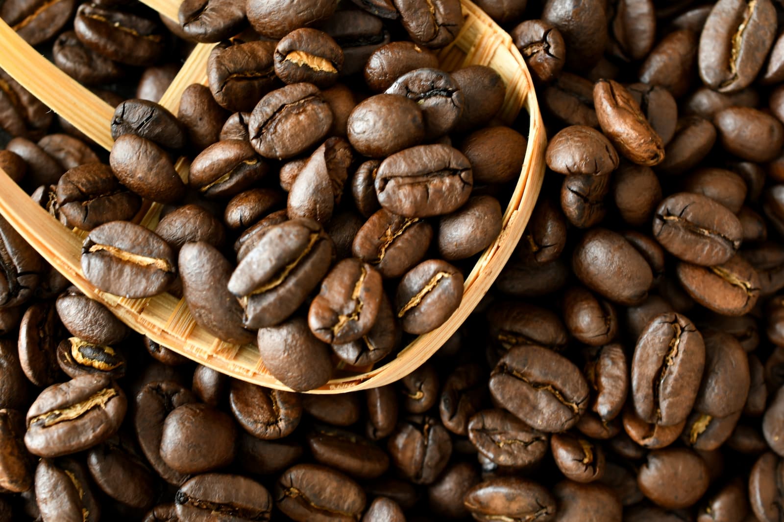 そして。ニシナ屋イメージ画像